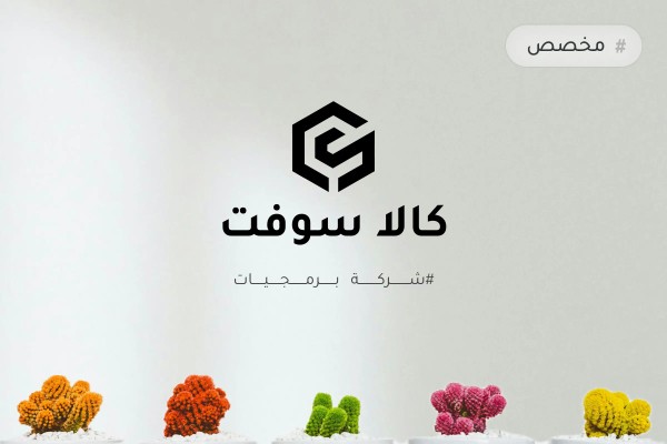 الحلول الرقمية المخصصة